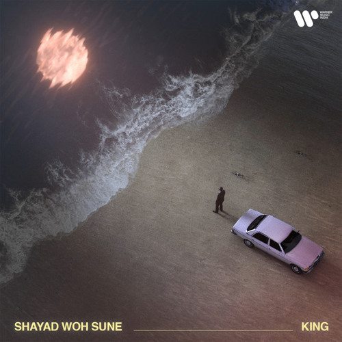 Teri ho na saki - king