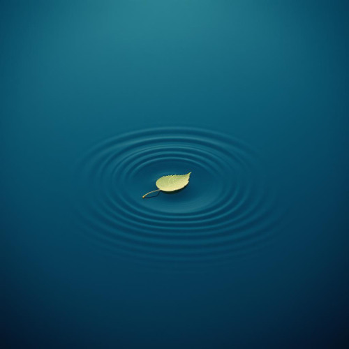 හිතින් ලොකු වෙන පොඩි ළමයි | Growing Within | Sinhala | #MindBlend | Inner Realm