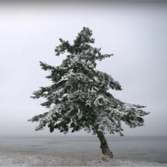 The Awakeneers new single: December in the North