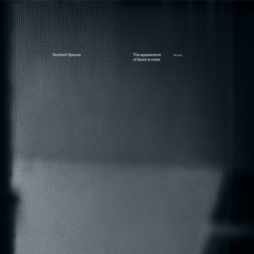 Stream The Appearance of Faces is Noise by Sentient Spaces | Listen ...