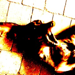 Barking