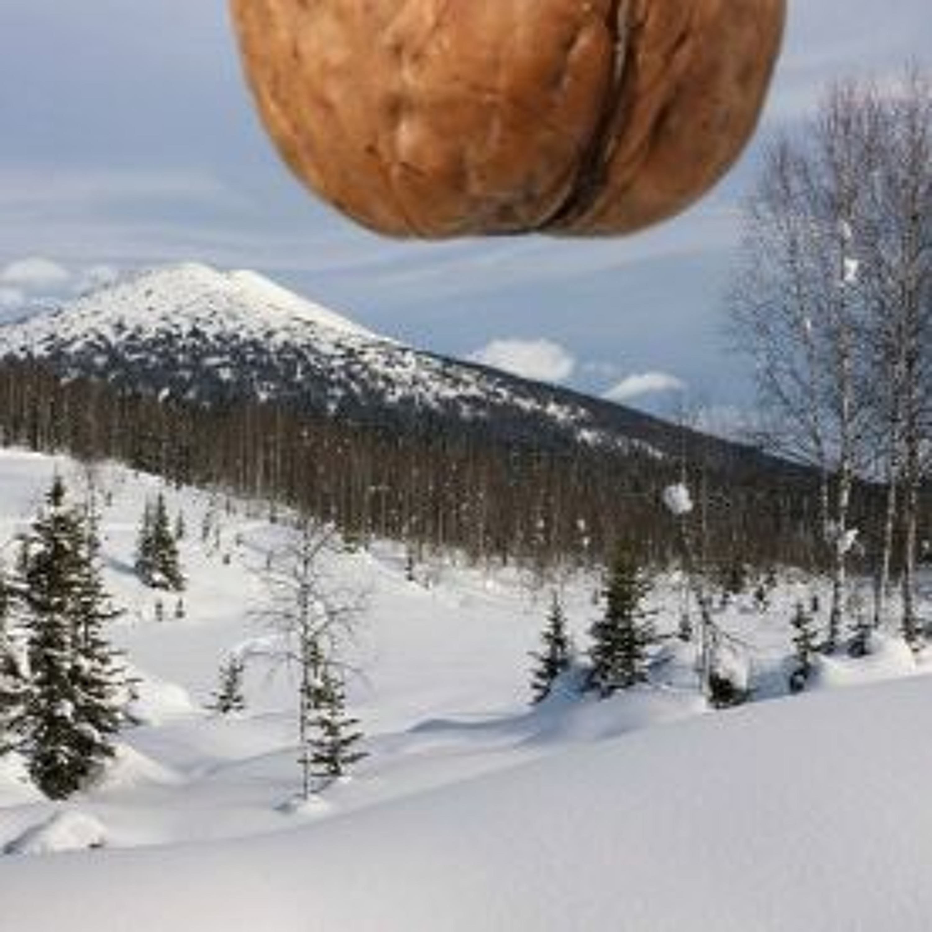 Episode 155 - Get Drunk, Here's My Nuts