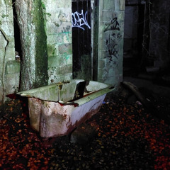 in a shed in a forest