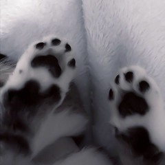 flёur-теплые коты (когти могут впиться в ногу)(づ｡>‿‿<｡)づ