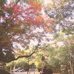 Autumn Memories (YM2608)