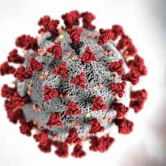 Igor BINKO - Coronavirus