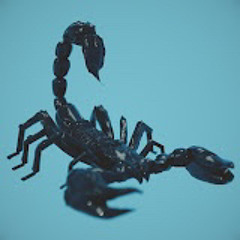 Orion's Belt Buckle by Atlanta space quartet