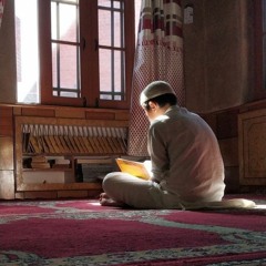من فجرية يوم ٢٩ رمضان ١٤٤٥ من المنصورة.