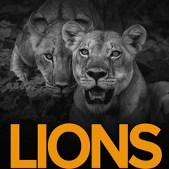 ❤pdf Lions Always Win: How to Spot What You Want in Your Professional Speaking