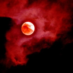 Blood Moon Demo