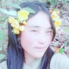 Choki Traditional Art School