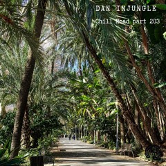 Dan InJungle - Chill Road 203 (liquid DNB dj mix)