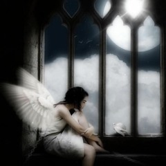 Voice In The Night