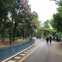 1418 - Que Tu, Senhor, sejas minha visão