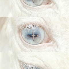 all mine demo (reddmillz x !ke)