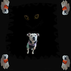 dragged under by the giant squid