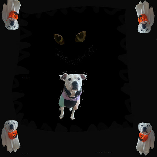 dragged under by the giant squid