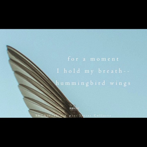 Hummingbird breath [naviarhaiku449]