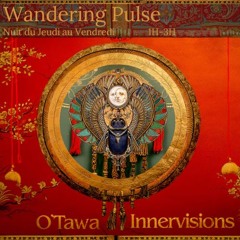 Wandering Pulse @ O'tawa Innervisions Festival 2024