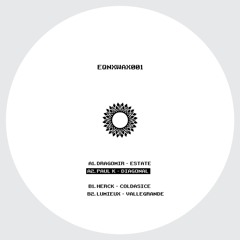 [EQNXWAX001] A2. Paul K - Diagonal [VINYL ONLY]