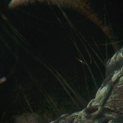 at the core (ode to serenity)