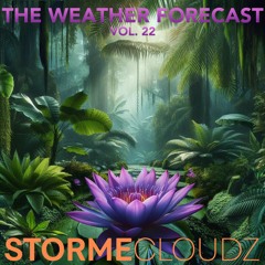 Weather Forecast Vol. 22