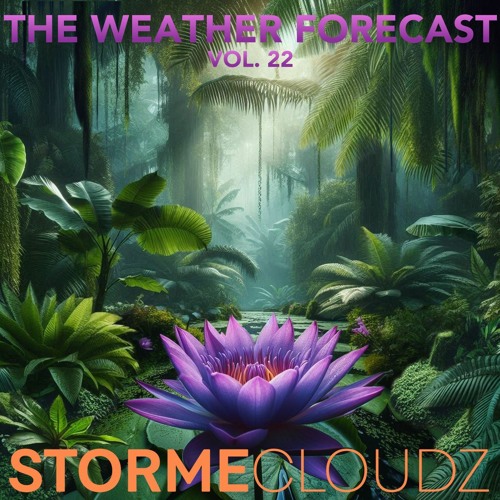 Weather Forecast Vol. 22