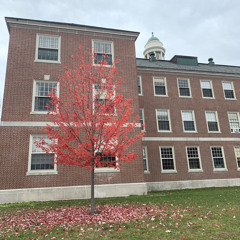 We are Outside - Vol. 4