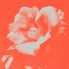 ur the most beautiful flower (prod. luminaria)