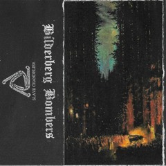 Bilderberg Bombers - Disarm and Control