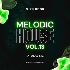 Melodic House 13