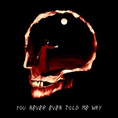 You Never Even Told Me Why