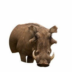 Sauvage 2 (The Movie Musical) - The Beast (Reprise)