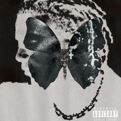 Playboi Carti- Father of Onyx