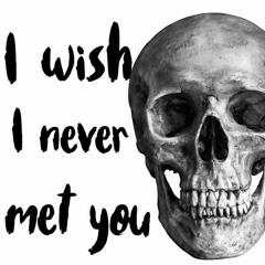 I Wish I Never Met You