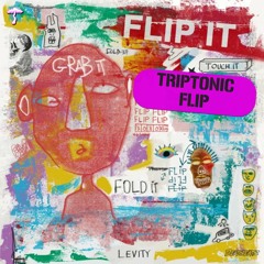 LEVITY - FLIP IT (TRIPTONIC FLIP)