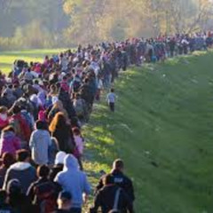 Refugee