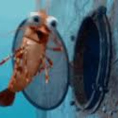 shrimp recall