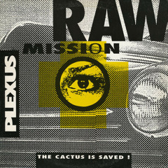 Plexus - Raw mission (DJ Francois 2020 remix)
