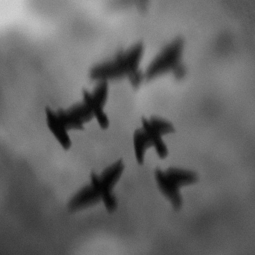 LaBind Trip (Snippet)