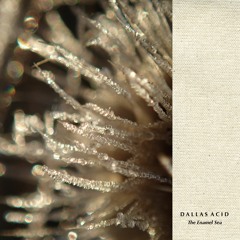 Dallas Acid | Enamel Sea (edit)