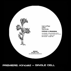 'Single Cell' EP (Banoffee Pies Records)