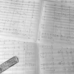 Les Sons maigres (2025)