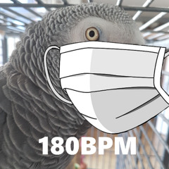 ṞOḈKØ SPECIAL - 180 BMP HARD TECHNO SET