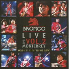 Amigo Bronco