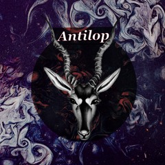 Antilop