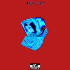 digital p. w1nkk