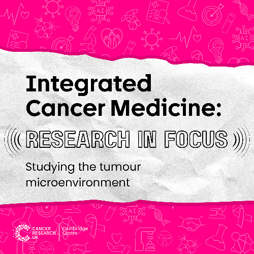 Studying the tumour microenvironment