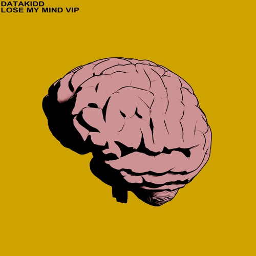 Lose My Mind VIP