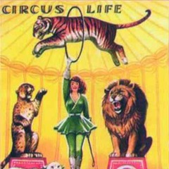The Circus Life